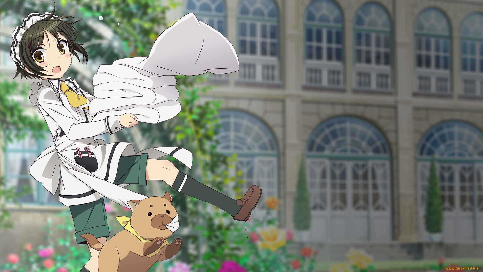 shounen maid, , shonen maid, , , 